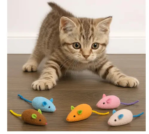 mouse Meow store
