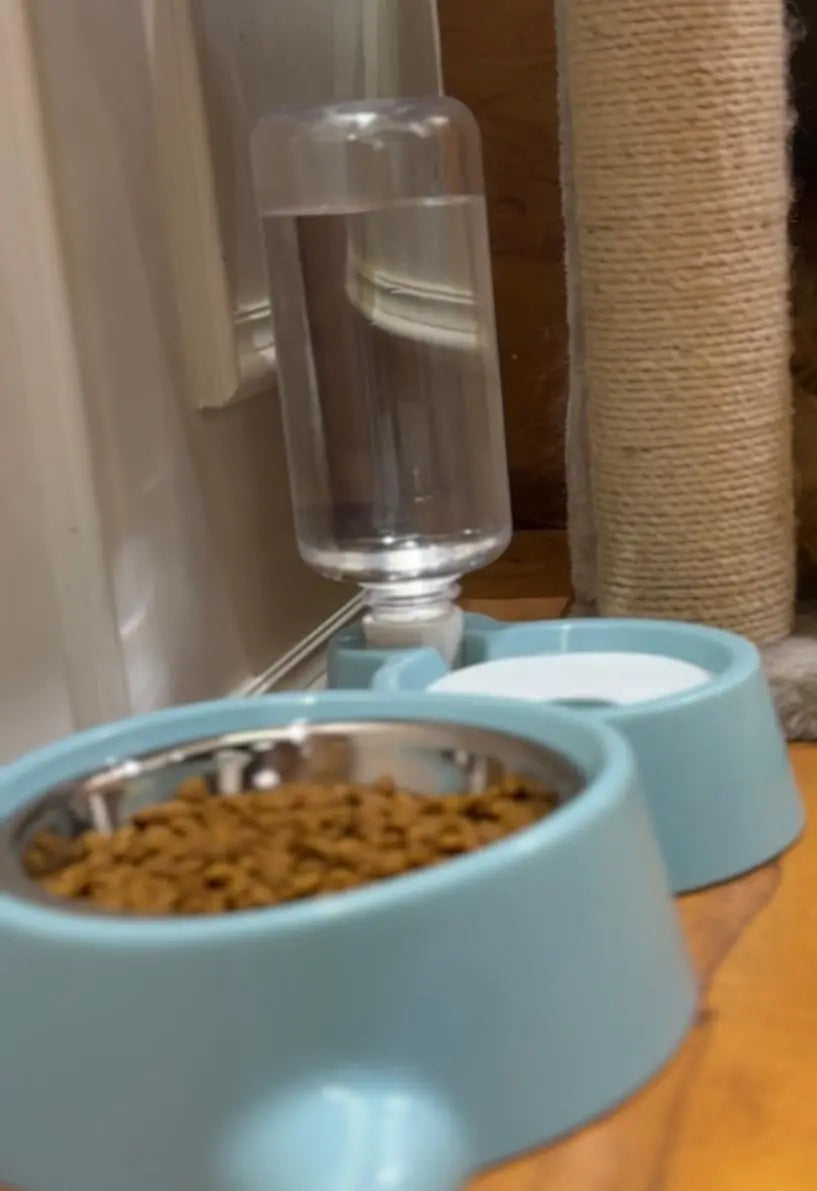 Best Dry Cat Food – Premium Nutrition for Cats