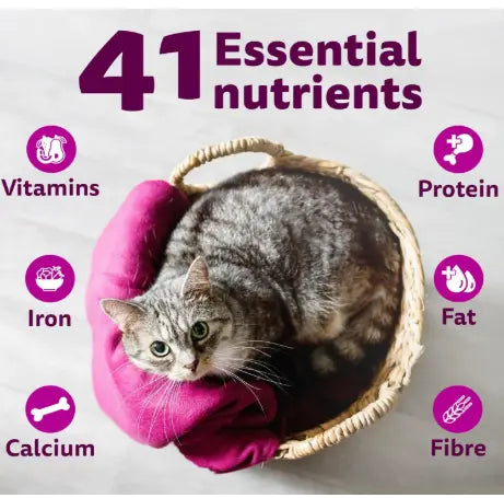 Whiskas Adult (1+ Years) Dry Cat Food Meow store