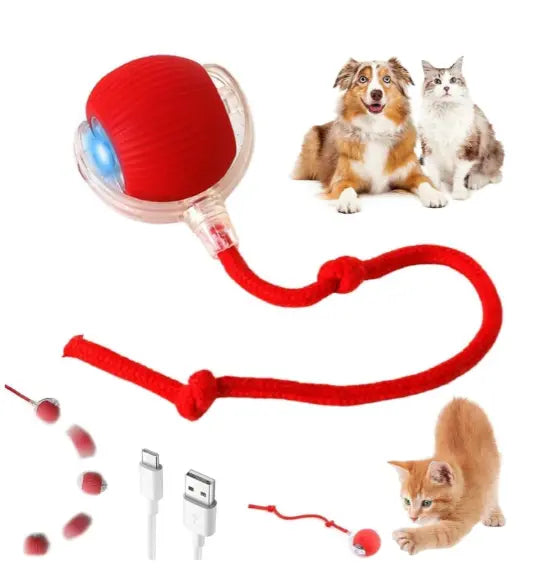 Ball Meow store