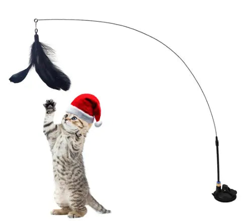 Qpets Meow store